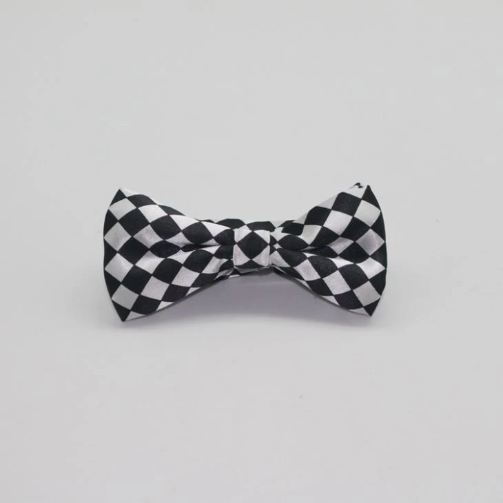 Silk Print Bow Tie
